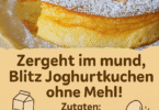 Zergeht im Mund – Blitz-Joghurtkuchen ohne Mehl